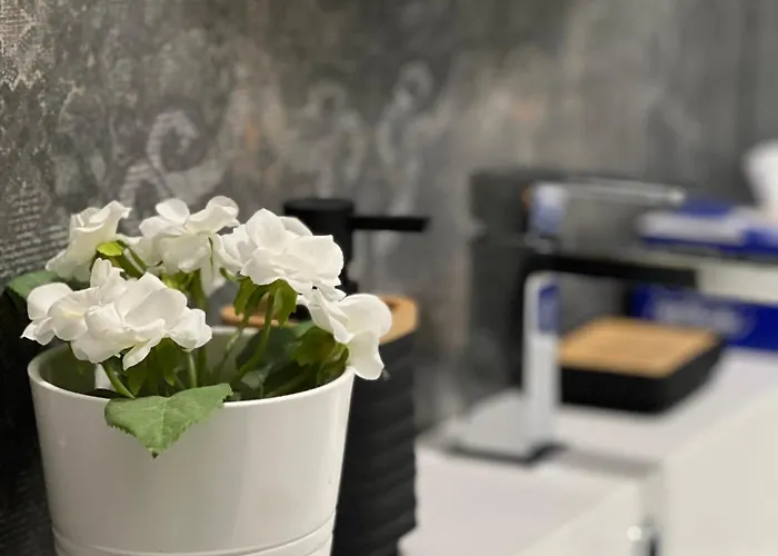 Plumbird Boutique & Apartment